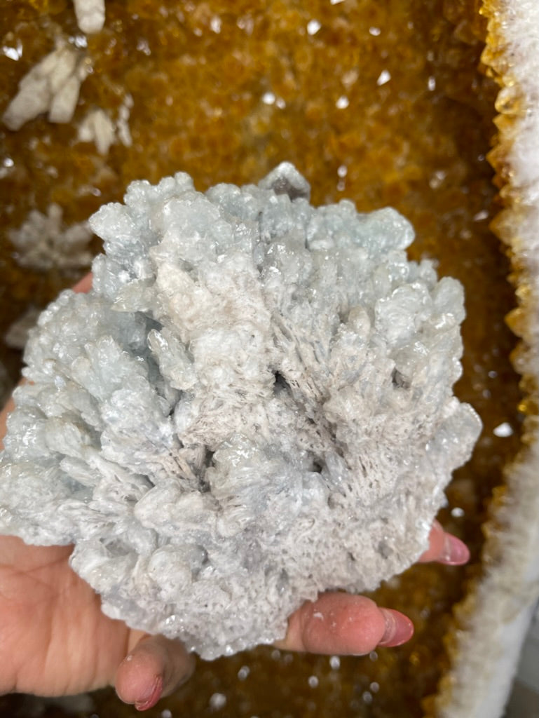 🌊 Ocean of Calm – Blue Aragonite from Mexico