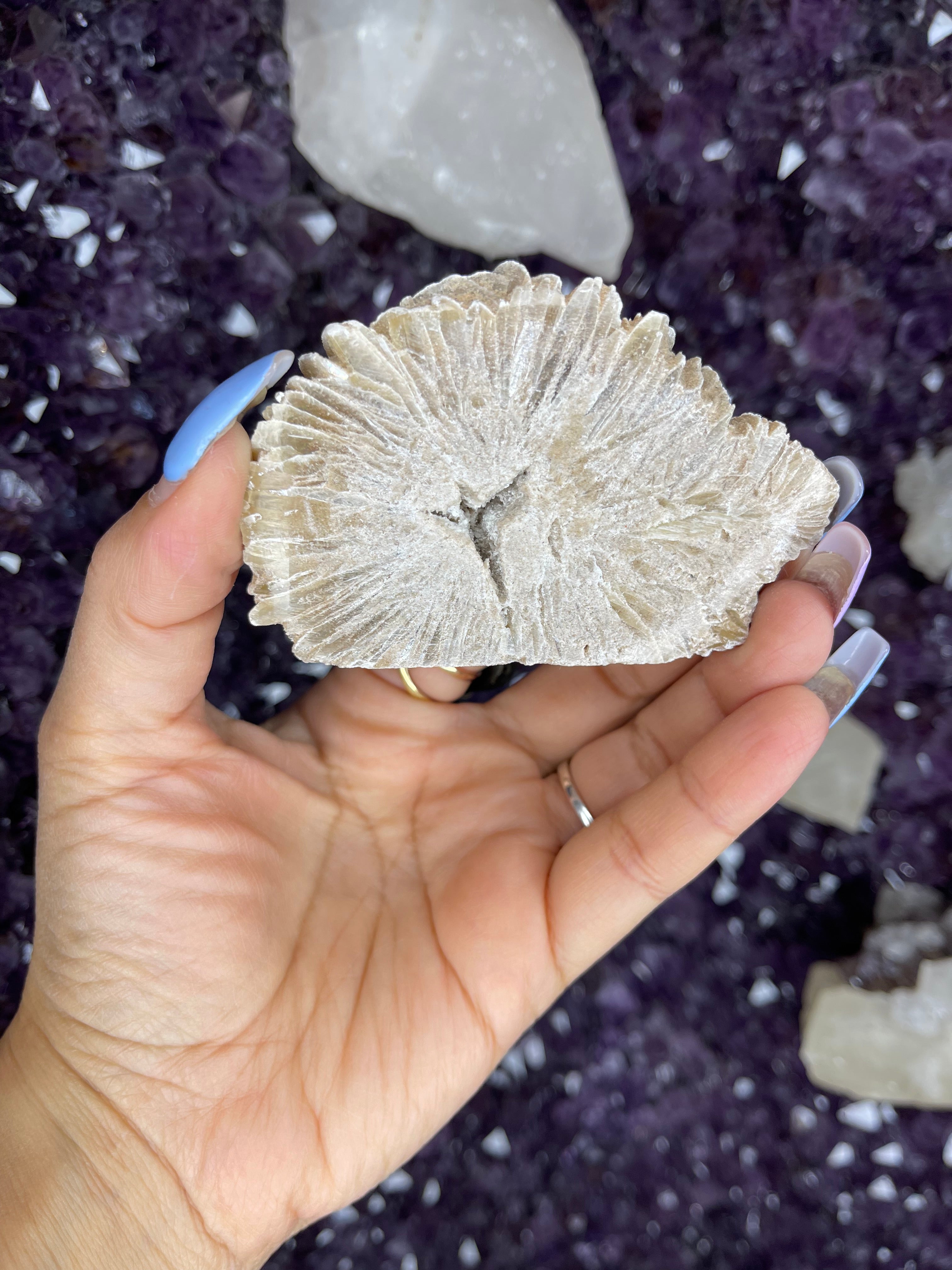 🤍 Whispers of the Ancients – Desert Rose Selenite (Cut Base)