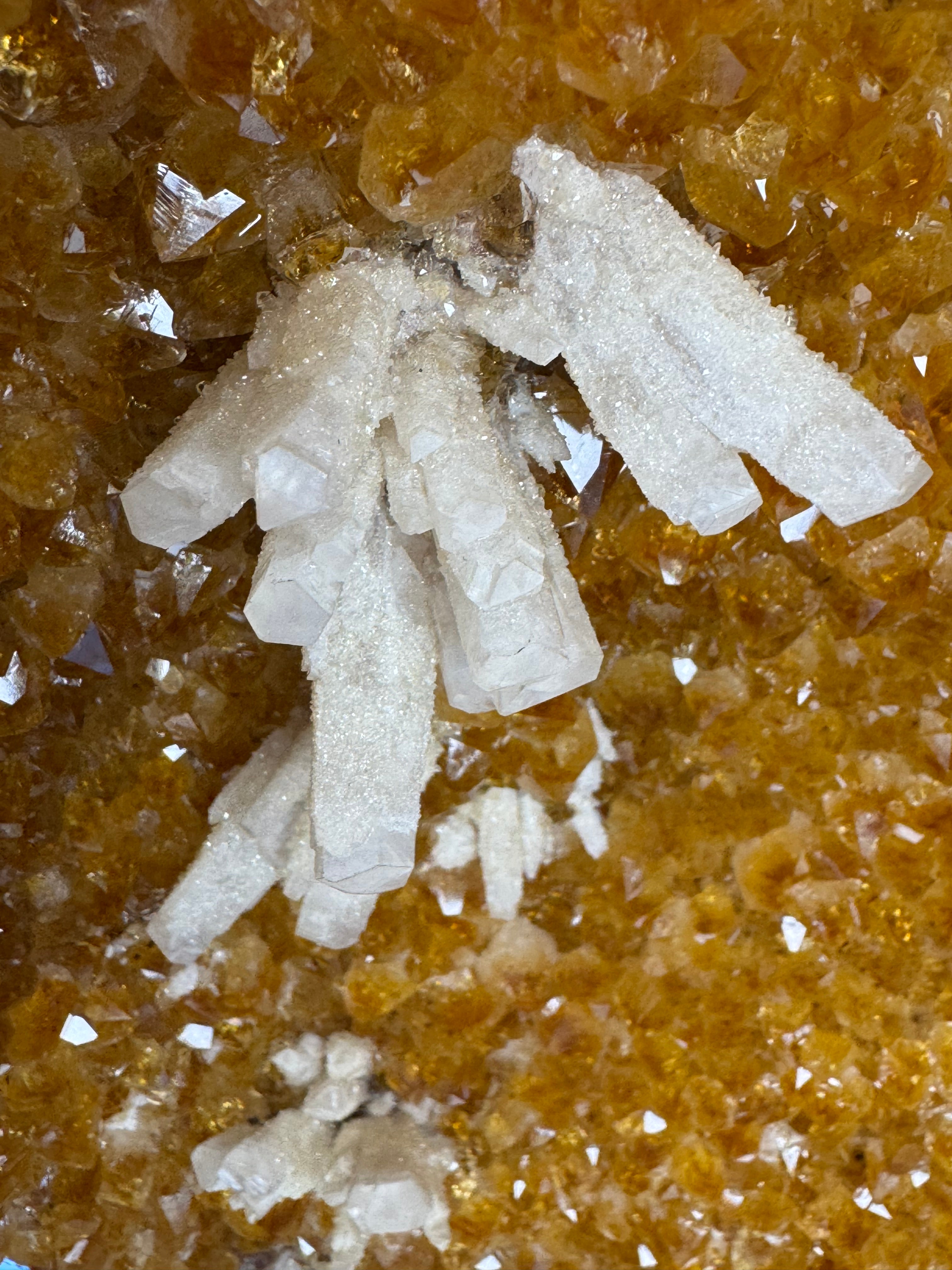 🍯 Citrine Cathedral Geode – The Golden Crown