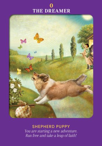 Animal Guides Tarot