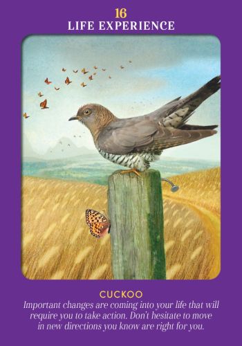 Animal Guides Tarot