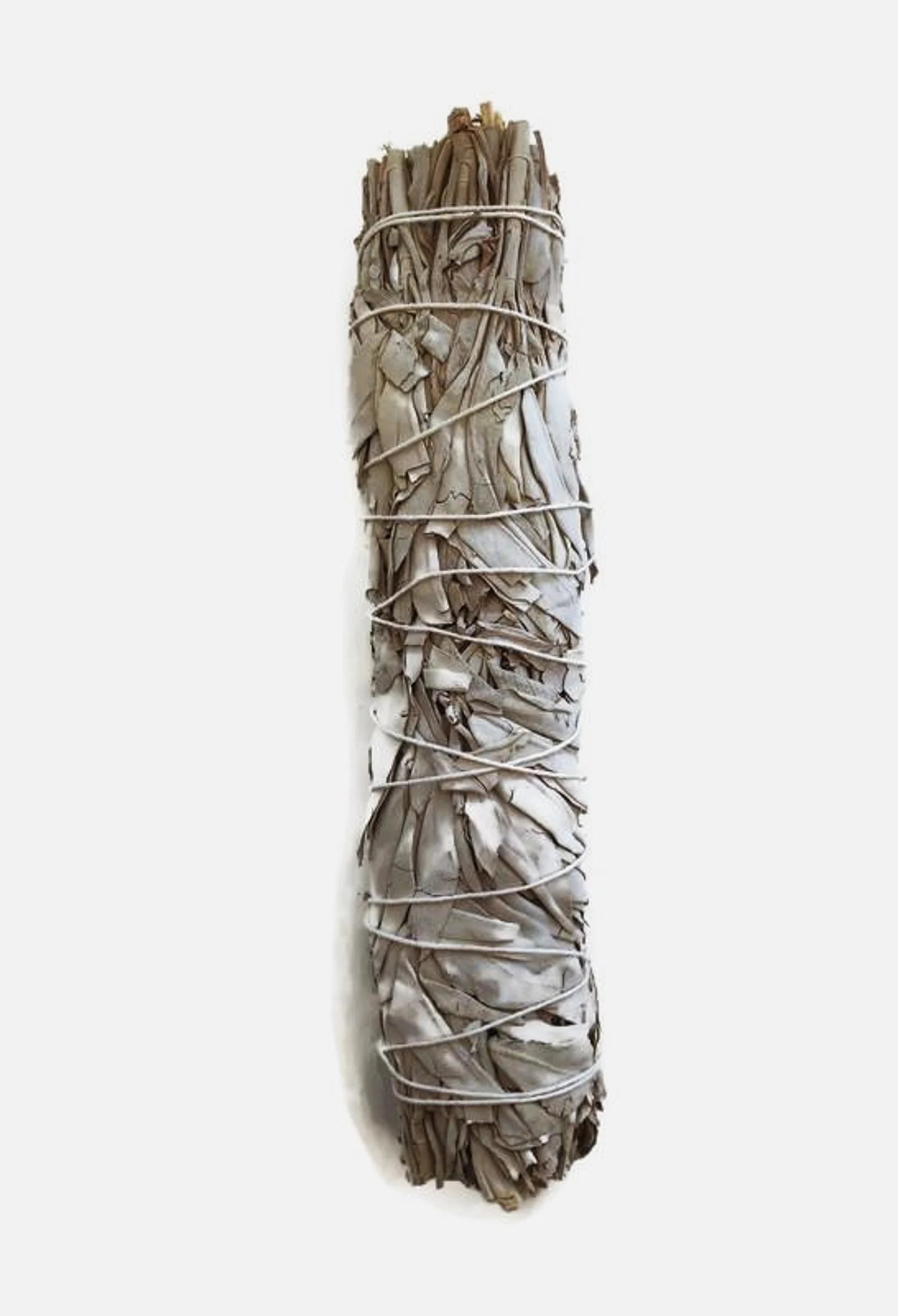 9" California White Sage