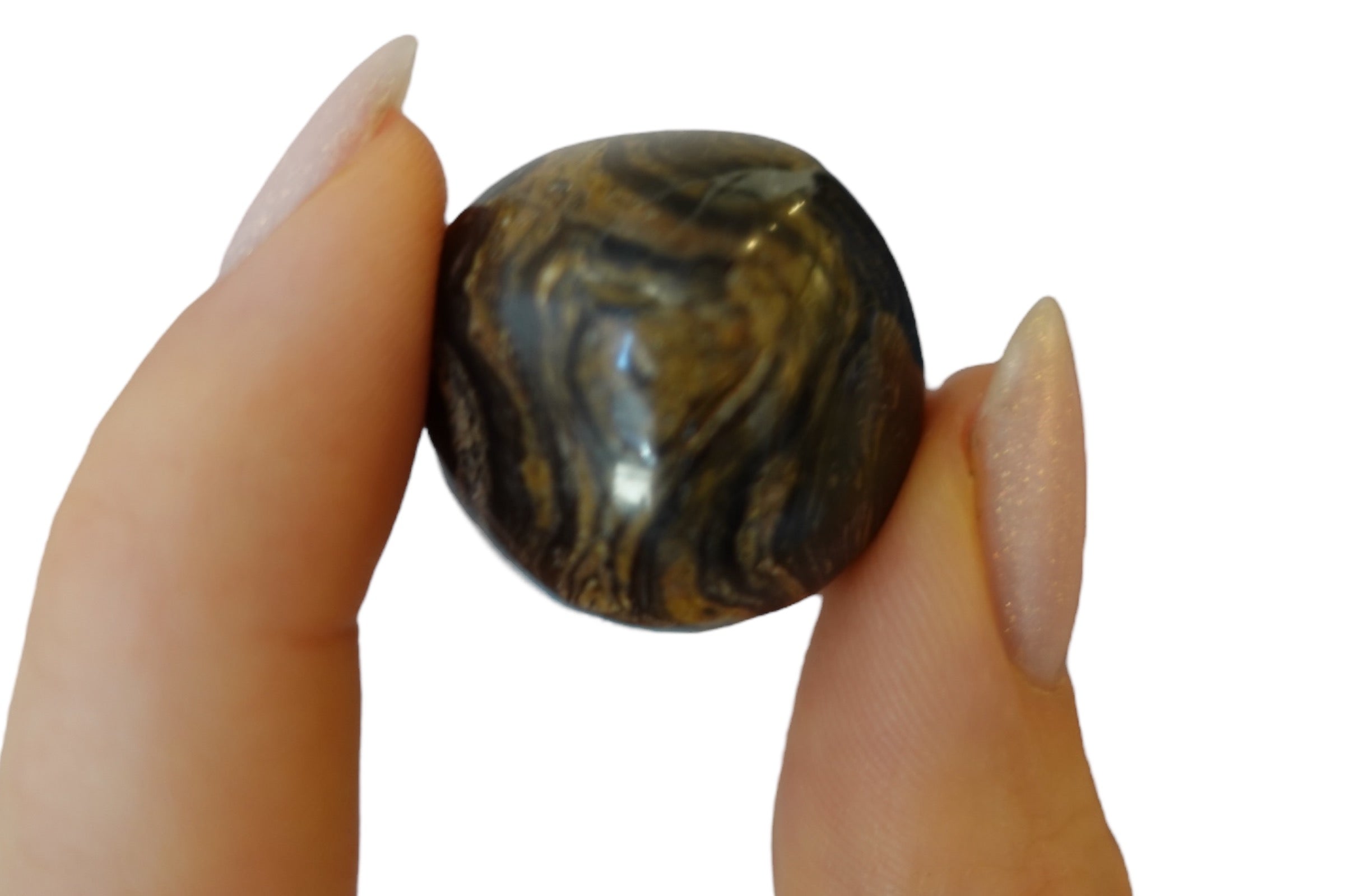 Stromatolite Tumbled Stones
