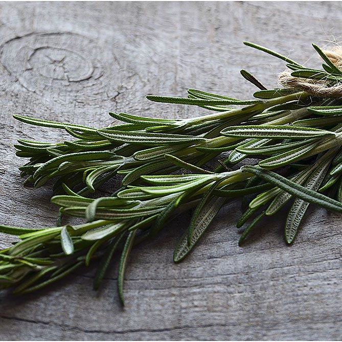 Rosemary Oil