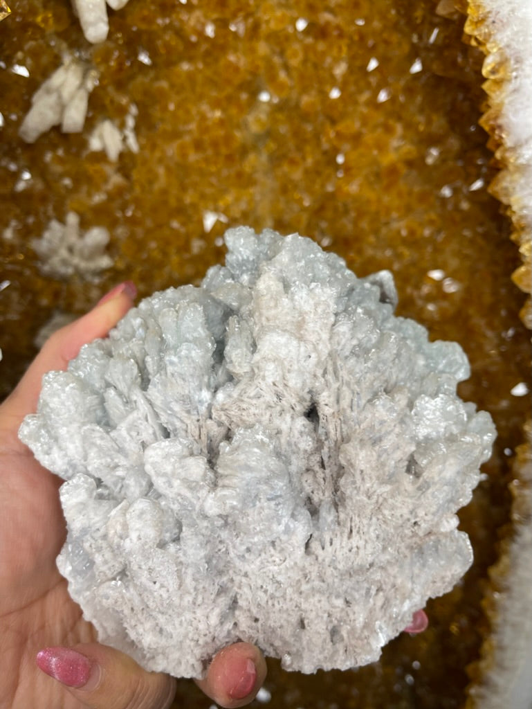 🌊 Ocean of Calm – Blue Aragonite from Mexico